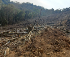 Batalhão Ambiental aplicou R$ 60,2 milhões em multas e atendeu 14 mil ocorrências em 2021