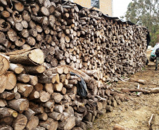 Batalhão Ambiental aplicou R$ 60,2 milhões em multas e atendeu 14 mil ocorrências em 2021