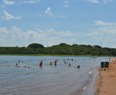 Bombeiros reforçam alertas sobre ataques de piranhas nas praias da Costa Oeste