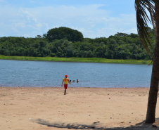 Bombeiros reforçam alertas sobre ataques de piranhas nas praias da Costa Oeste