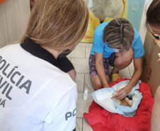 Em Matinhos, Polícia Civil resgata do lixo quatro gatos recém-nascidos