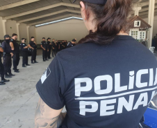 Deppen registra mais de 2,6 mil ações em 45 dias de atuação na temporada