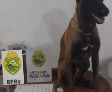 Policiais rodoviários estaduais apreendem drogas e equipamentos eletrônicos