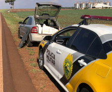 Apreendido carro carregado com 300 litros de herbicida