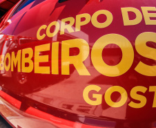 Primeiro grupo de bombeiros paranaenses e cães de faro viaja para Petrópolis