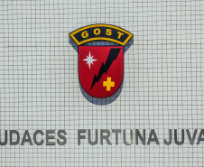 Primeiro grupo de bombeiros paranaenses e cães de faro viaja para Petrópolis