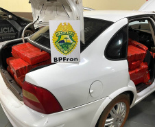 BPFron apreende mais de meia tonelada de maconha no Oeste do Estado