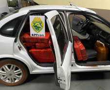 BPFron apreende mais de meia tonelada de maconha no Oeste do Estado