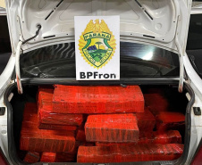 BPFron apreende mais de meia tonelada de maconha no Oeste do Estado