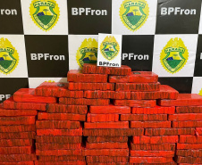 BPFron apreende mais de meia tonelada de maconha no Oeste do Estado