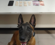 Polícia Rodoviária apreende droga e bebidas no Litoral e no Sudoeste do Paraná