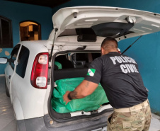 Operação das polícias Militar e Civil apreende drogas e encaminha nove pessoas no Litoral