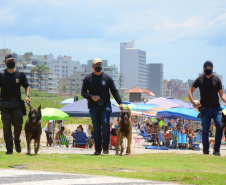Cães que colaboraram na apreensão de 7 toneladas de drogas em 2021 viram veranistas