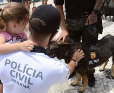 Cães que colaboraram na apreensão de 7 toneladas de drogas em 2021 viram veranistas