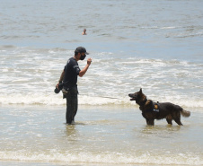 Cães que colaboraram na apreensão de 7 toneladas de drogas em 2021 viram veranistas