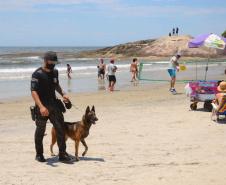 Cães que colaboraram na apreensão de 7 toneladas de drogas em 2021 viram veranistas