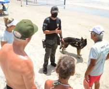 Cães que colaboraram na apreensão de 7 toneladas de drogas em 2021 viram veranistas