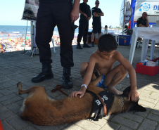No Litoral, Deppen faz exposição de atividades de ressocialização de presos