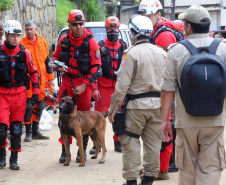Bombeiros do Paraná concluem participação nas buscas por vítimas em Petrópolis, no Rio
