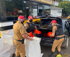 Forças policiais tiraram de circulação mais de 272 toneladas de drogas em 2021