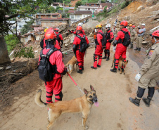 Bombeiros do Paraná concluem participação nas buscas por vítimas em Petrópolis, no Rio