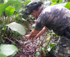 Batalhão de Polícia Ambiental aumenta parcerias e multas crescem R$ 19 milhões em 2 anos