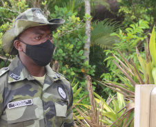 A Ilha do Mel é um dos destinos mais procurados do Litoral Paranaense. Durante o verão o fluxo de pessoas aumenta bastante e a Polícia Militar acompanha esta mudança, adequando o policiamento para atender a população e os turistas que chegam de todo Brasil e de outros países.   A PM possui dois pontos fixos na Ilha do Mel: o posto do 9º Batalhão da PM, na Praia de Encantadas, e o posto do Batalhão de Polícia Ambiental-Força Verde (BPAmb-FV), em Nova Brasília. Esses locais funcionam o ano todo para garantir 
