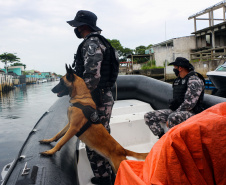 Polícia Militar reduz roubos e atende mais de 9 mil ocorrências no Litoral durante a temporada de verão