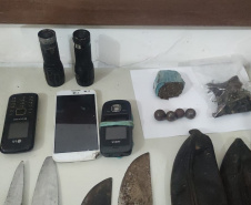 Em Guaratuba, PM flagra extração ilegal de palmito ameaçado de extinção