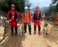 O impacto do desastre foi muito grande, diz paranaense que ajudou no apoio a Petrópolis