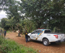 Em menos de 12 horas, vítimas fatais do acidente com ônibus em Sapopema (PR) são identificadas e liberadas aos familiares