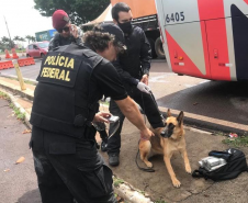 Adolescente é flagrado com 11 tabletes de maconha durante ação da Força Nacional e da Polícia Federal no Oeste do estado