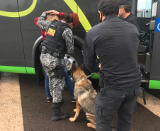 Adolescente é flagrado com 11 tabletes de maconha durante ação da Força Nacional e da Polícia Federal no Oeste do estado