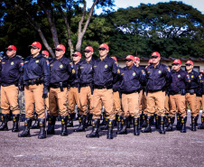  Paraná quer reforçar integração entre forças de segurança no combate ao crime