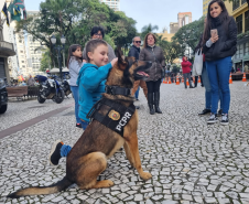 PCPR e GM realizam evento de conscientização sobre drogas no Centro de Curitiba