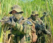 BPFRON apreende mais de 90 quilos de maconha em Toledo
