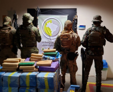 Operação integrada apreende meia tonelada de maconha