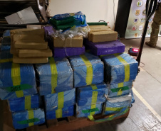 Operação integrada apreende meia tonelada de maconha