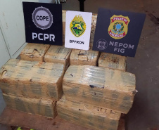  PCPR, PMPR, PRF e PF apreendem 666 quilos de maconha em Goioerê