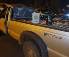 Operação da Polícia Militar já prendeu mais de 100 pessoas em todo Paraná