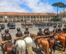 cavalaria