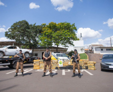  Polícia Militar apreende mais de uma tonelada de maconha no Oeste do Paraná