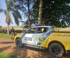 Operação Segurança Rural prende mais de 100 pessoas e apreende 32 armas em ambientes rurais 