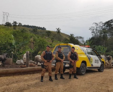 Operação Segurança Rural prende mais de 100 pessoas e apreende 32 armas em ambientes rurais 