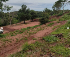 Denúncia via 181 leva à prisão dois suspeitos por crime ambiental em Umuarama  