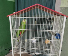 gaiolas e pássaros apreendidos pelo Batalhão de Polícia Ambiental