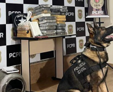 PCPR deflagra operação contra tráfico de drogas na região norte