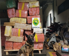 PMPR apreende mais de uma tonelada de droga em Marechal Cândido Rondon