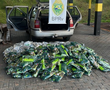 Batalhão de Polícia Rodoviária apreende 400 kg de agrotóxicos ilícitos em Maringá