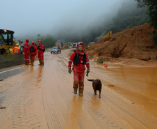 Forças de salvamento fazem nova varredura na BR-376 e não encontram vítimas